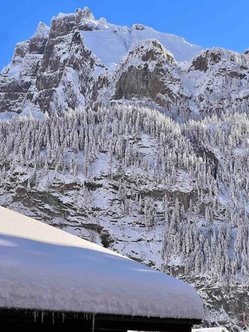 Peacefull Mountains View Apartment Kandersteg Ngoại thất bức ảnh